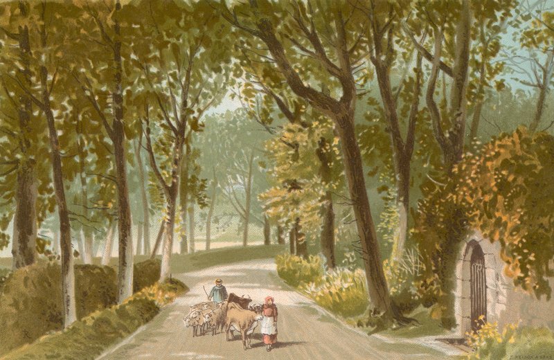 Vinchelez Lane - Jersey by English School