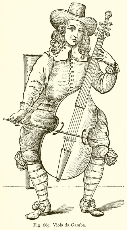 Viola da Gamba by English School