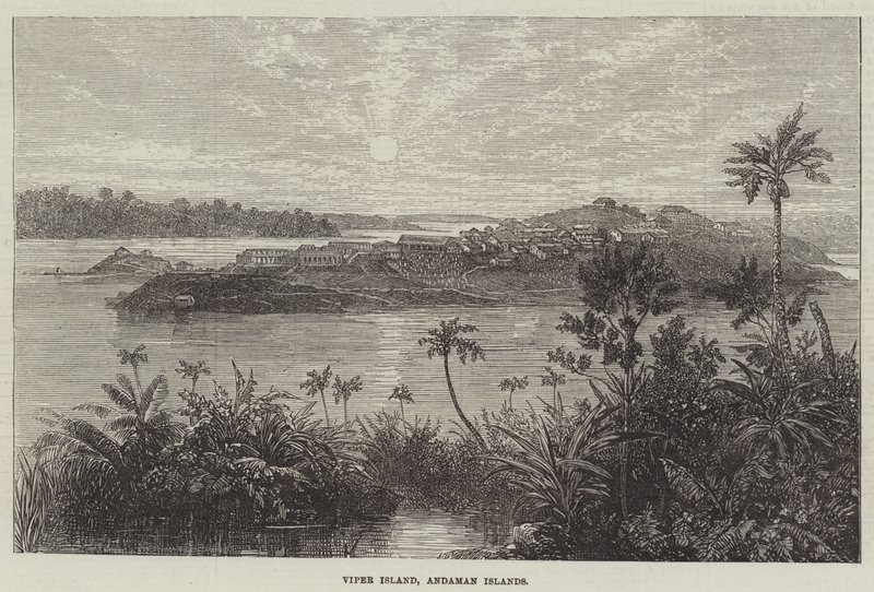 Engerek Adası, Andaman Adaları (gravür) by English School