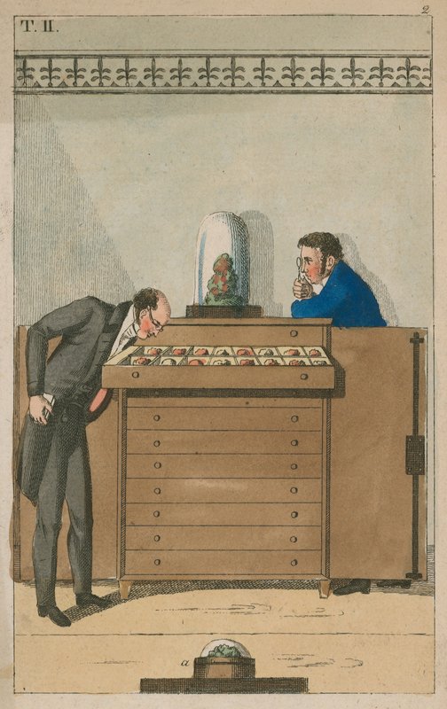 Müze ziyareti by English School
