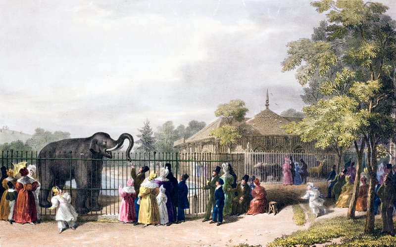 Viktorya döneminde Londra Hayvanat Bahçesi, Regent