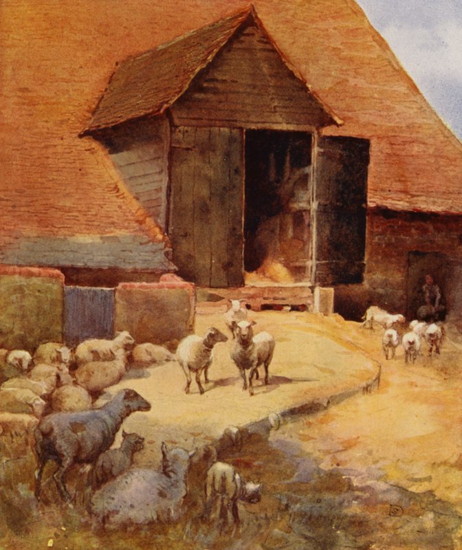 Kesilmeyi Beklerken (renkli taş) by English School