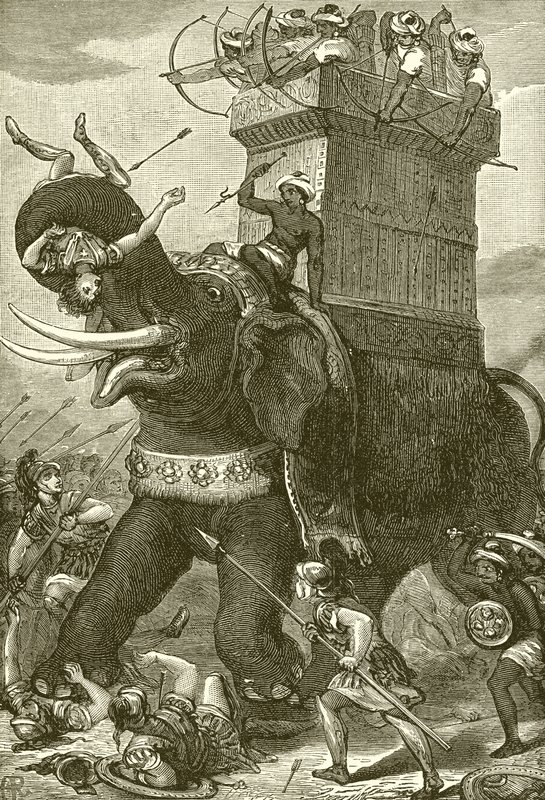Kral Darius