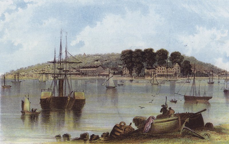 Batı İnekler by English School