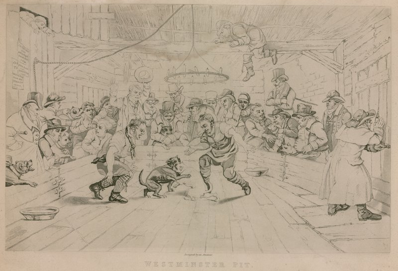 Westminster Çukuru by English School