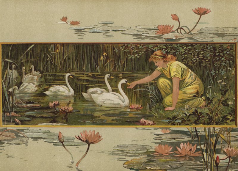 Nilüferlerin Büyüdüğü Yer (chromolitho) by English School