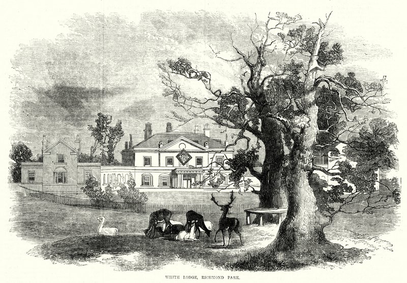 White Lodge, Richmond Park (gravür) by English School