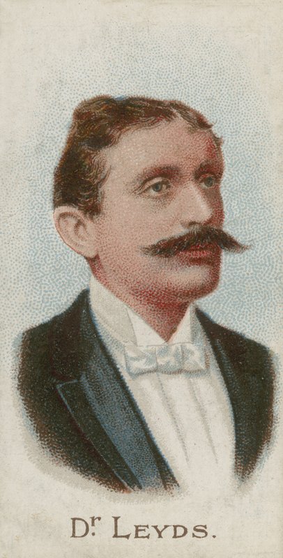 Willem Johannes Leyds, Hollandalı avukat ve devlet adamı by English School