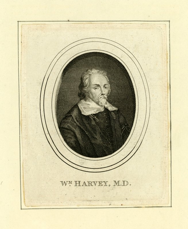 William Harvey by English School