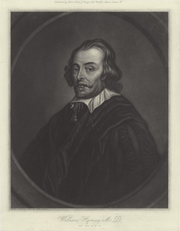 William Harvey, İngiliz doktor by English School