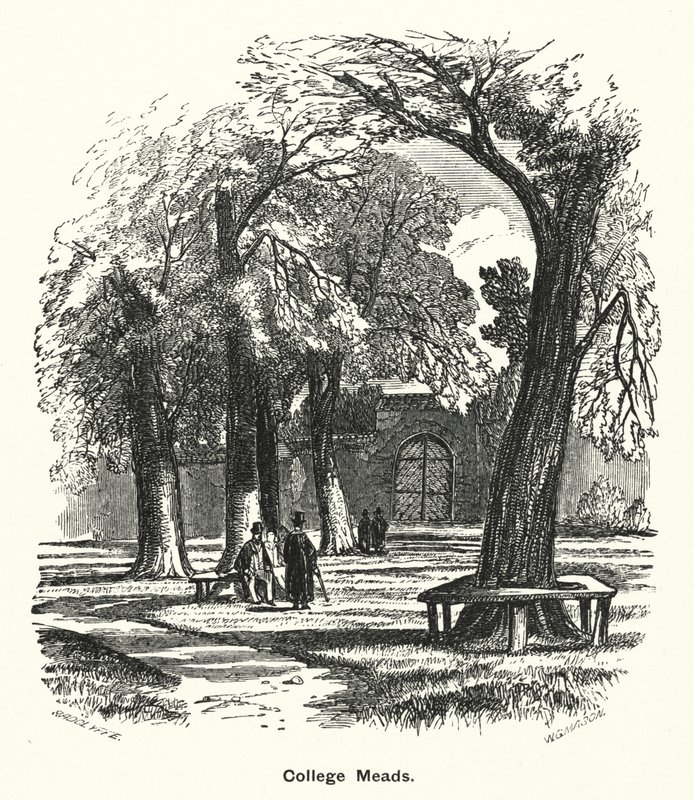 Winchester College: College Meads (gravür) by English School