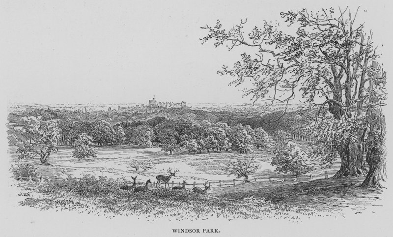 Windsor Parkı (gravür) by English School