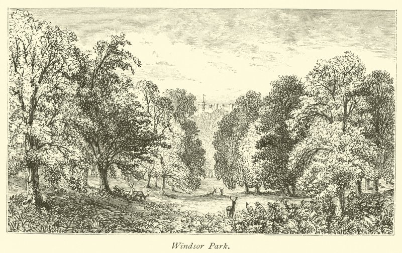 Windsor Parkı by English School