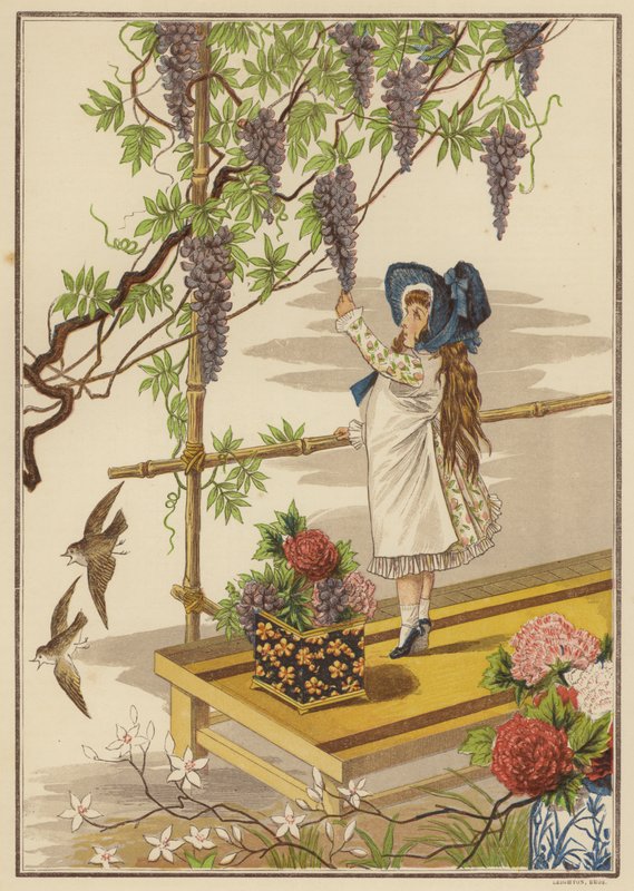 Wisteria (renkli taş) by English School