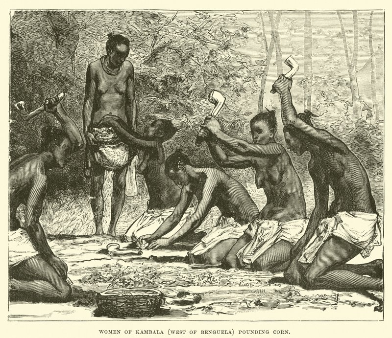 Mısır döven Kambala (Benguela