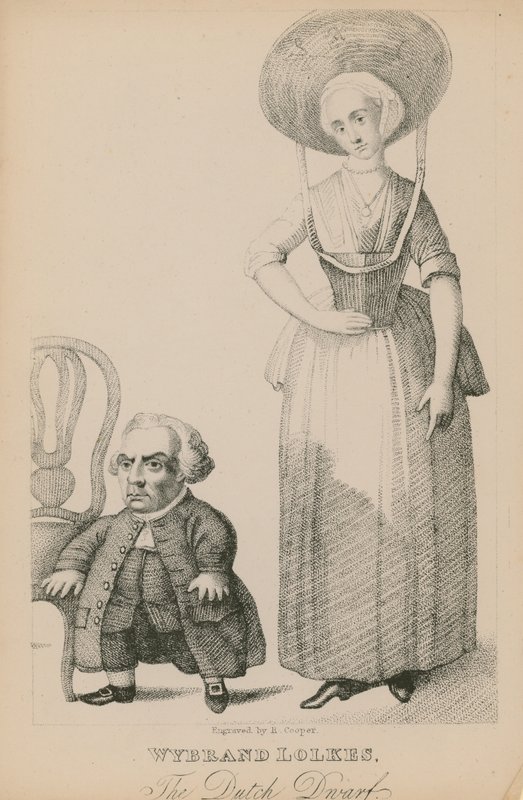 Wyband Lolkes, Hollandalı cüce by English School