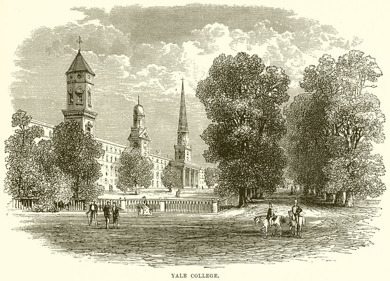 Yale Koleji by English School