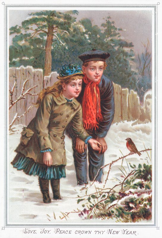 Robin