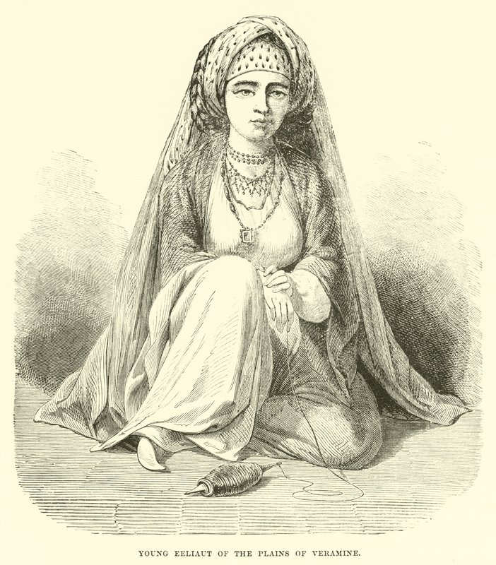 Veramine ovalarının genç Eeliaut