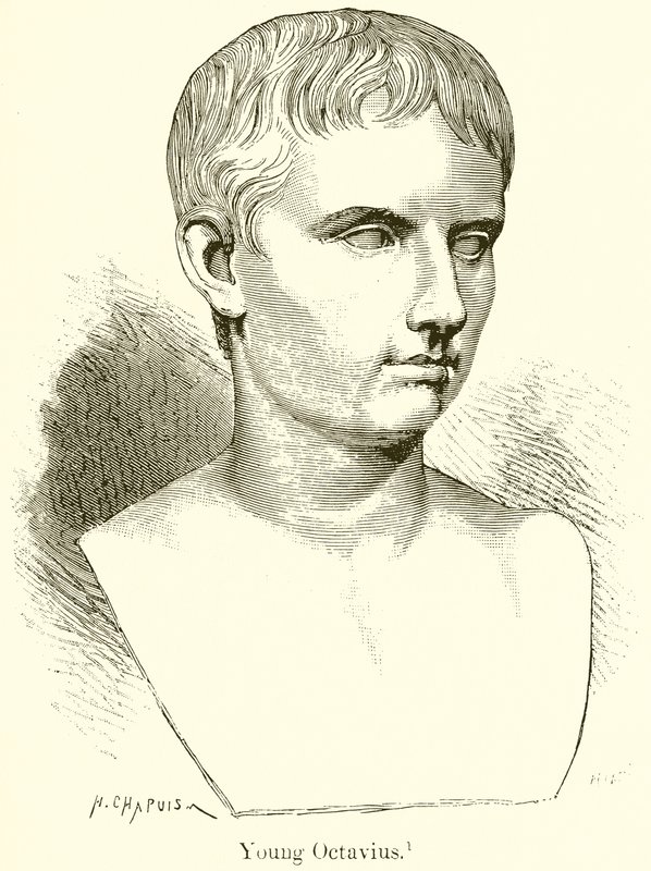 genç ahtapot by English School