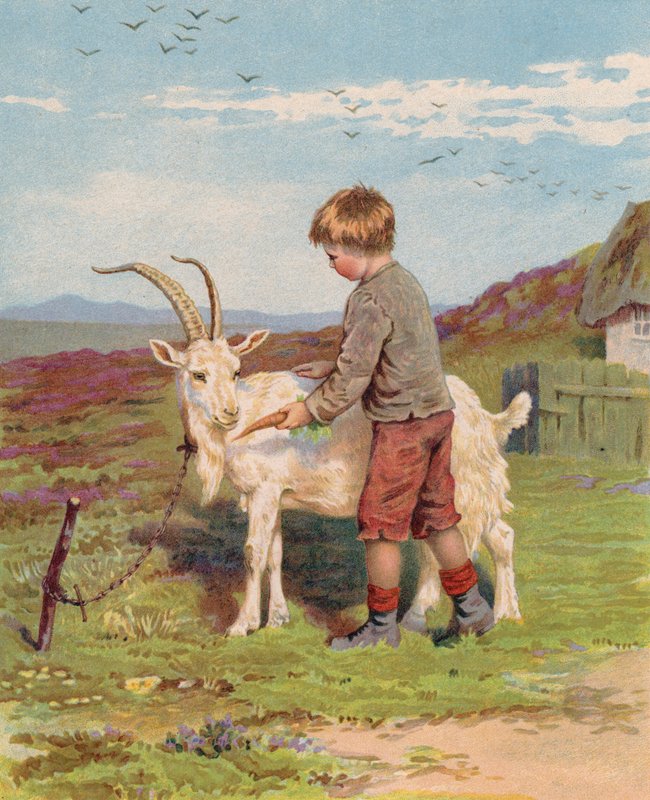 Çiftlikteki tekeye havuç besleyen genç çocuk (chromolitho) by English School