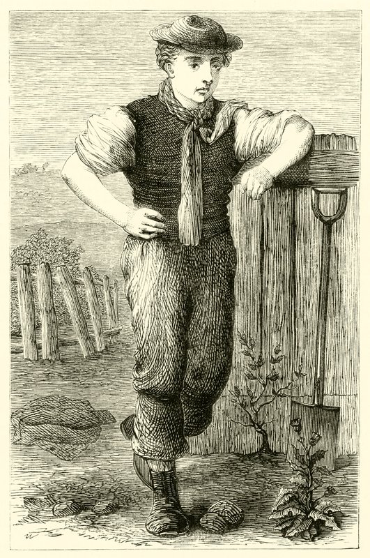 Genç bahçıvan (gravür) by English School