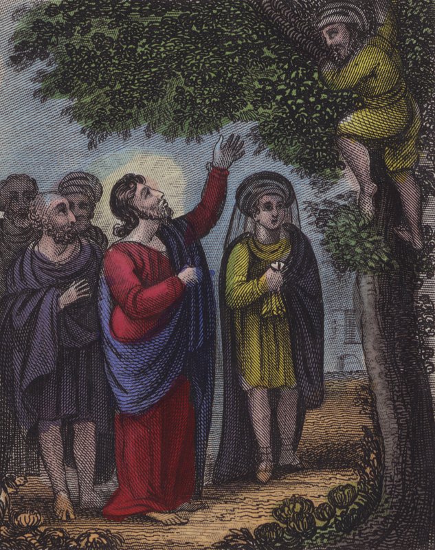 Zaccheus ağaca tırmandı ... (renkli gravür) by English School