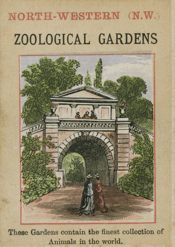 Hayvanat Bahçeleri by English School
