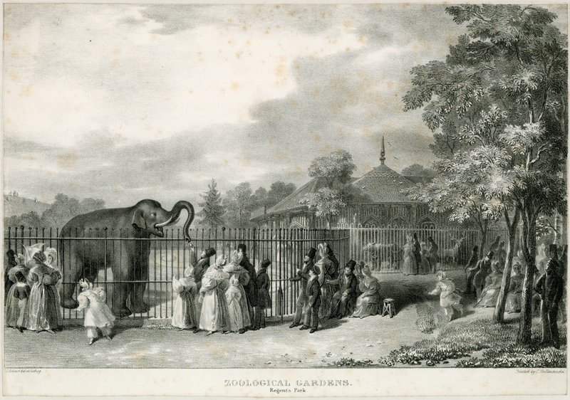 Hayvanat Bahçeleri, Regents Parkı by English School