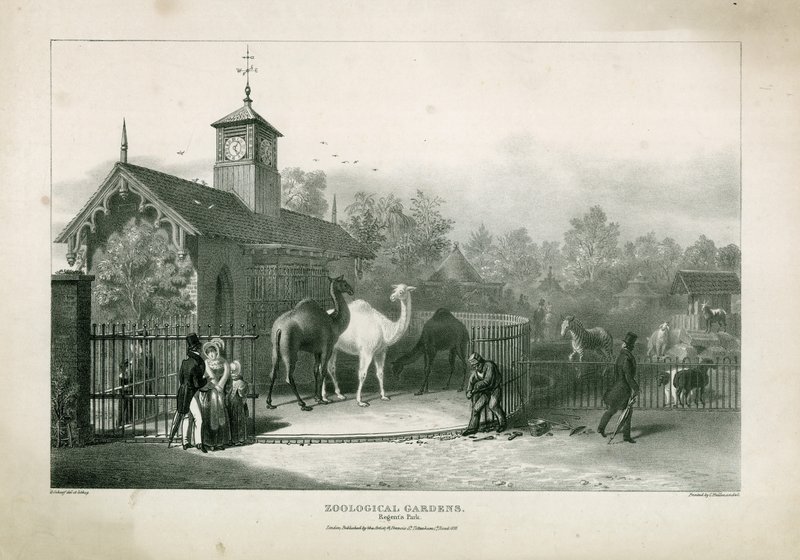 Hayvanat Bahçeleri, Regents Parkı by English School