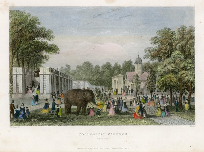 Hayvanat Bahçeleri, Regents Parkı by English School