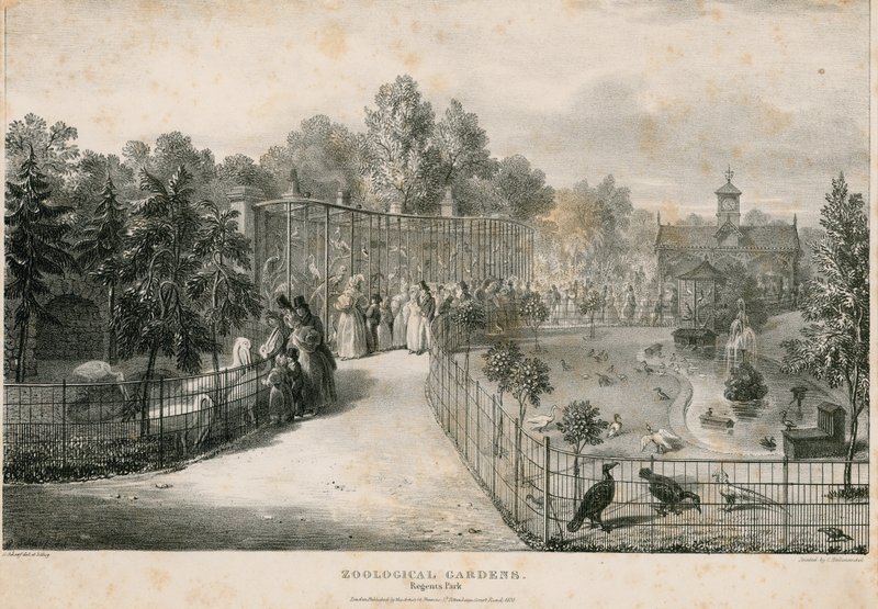 Hayvanat Bahçeleri, Regents Parkı by English School