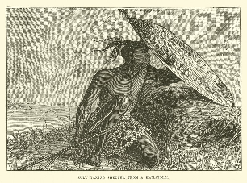 Zulu, dolu fırtınasından korunuyor by English School