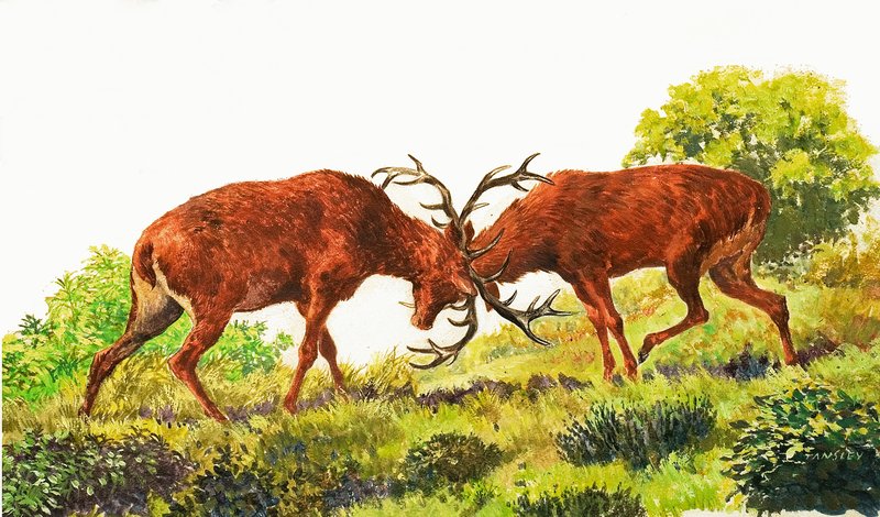  by Eric Tansley