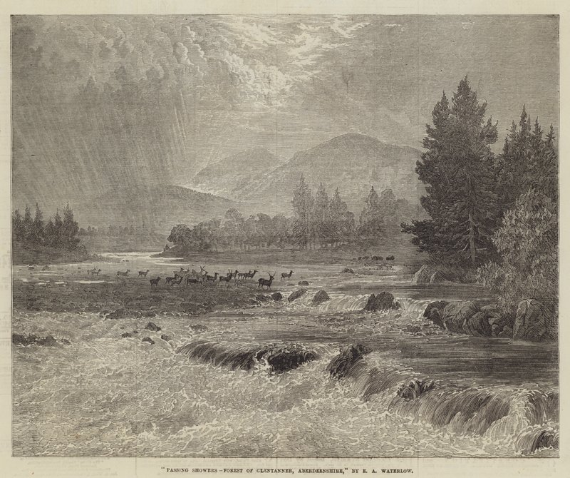 Sağanak Yağmurlar, Glentanner Ormanı, Aberdeenshire by Ernest Albert Waterlow