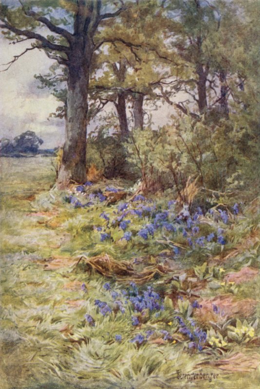 Fringes of the Fragrant Woods  by Ernest Benger or Berenger