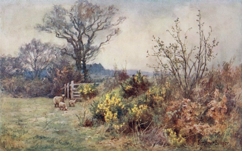 The Field and the Fold  by Ernest Benger or Berenger