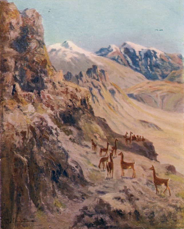 Türk iş hareketi by Ernest William Christmas