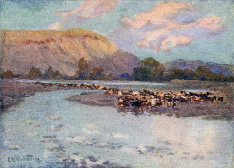 Cattle watering  by Ernest William Christmas