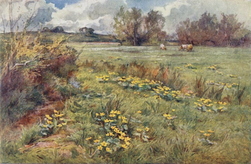 Yolsuz Alanlar by Ernest Benger or Berenger