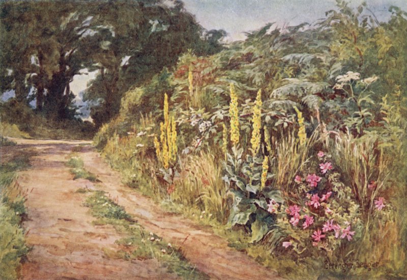 Çitin Kalbi by Ernest Benger or Berenger