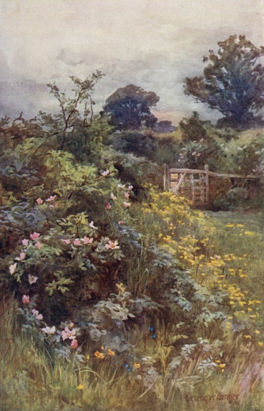 Gülün saltanatı by Ernest Benger or Berenger