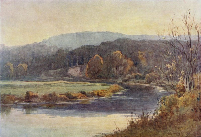 Ormanlık ve Su Yolu by Ernest Benger or Berenger