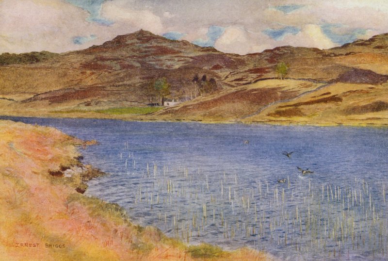  by Ernest Edward Briggs