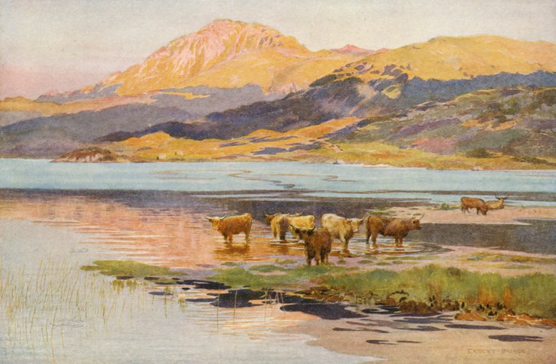  by Ernest Edward Briggs
