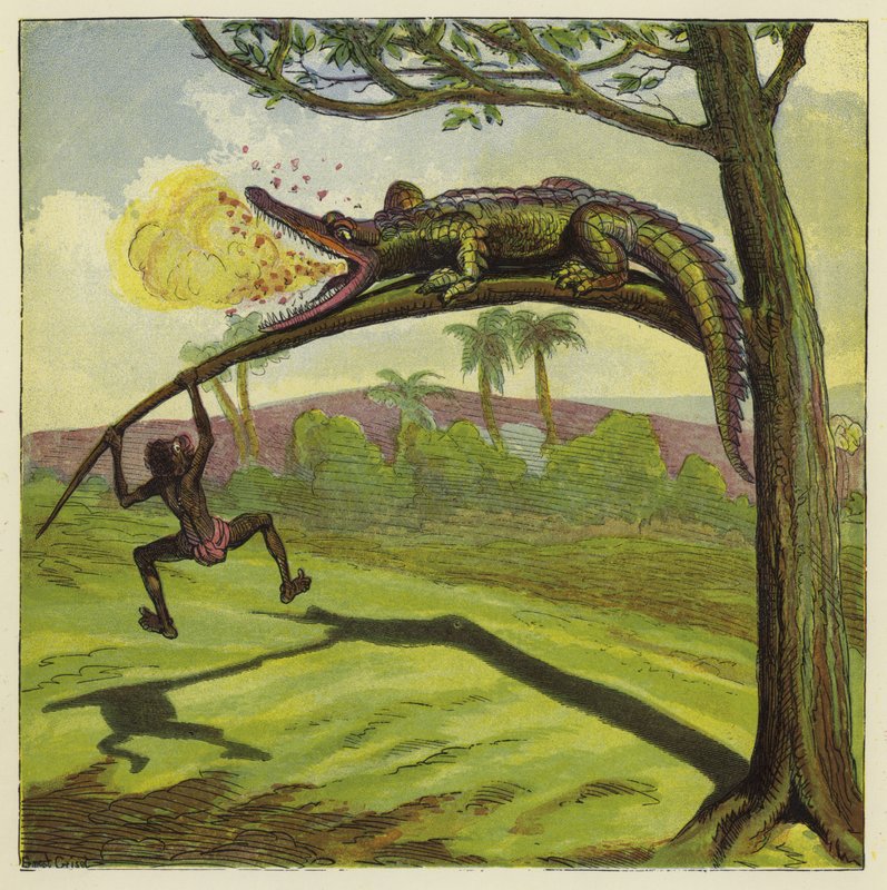 Timsah by Ernest Henry Griset