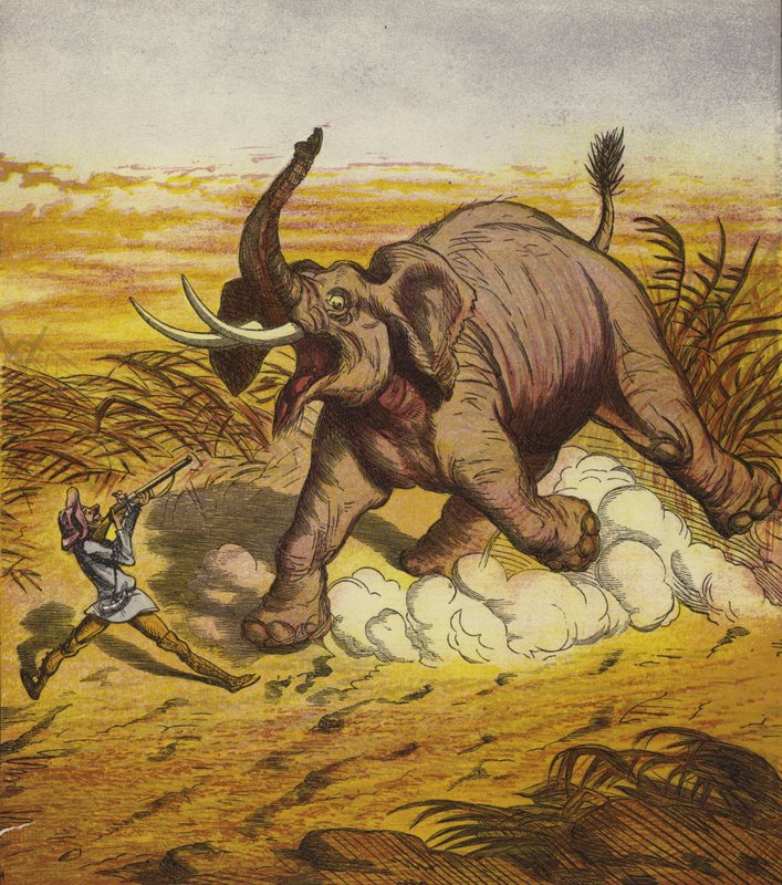 Jim Bold bir fil avlıyor by Ernest Henry Griset