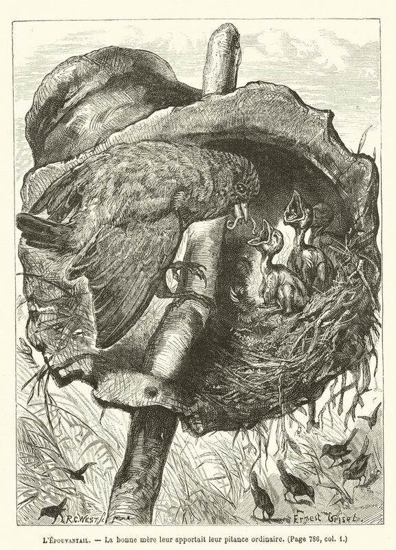 Korkuluk, iyi anne onlara her zamanki parasını getirdi by Ernest Henry Griset