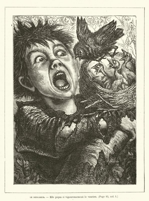 Denicheur, hergeleyi şiddetle soktu by Ernest Henry Griset