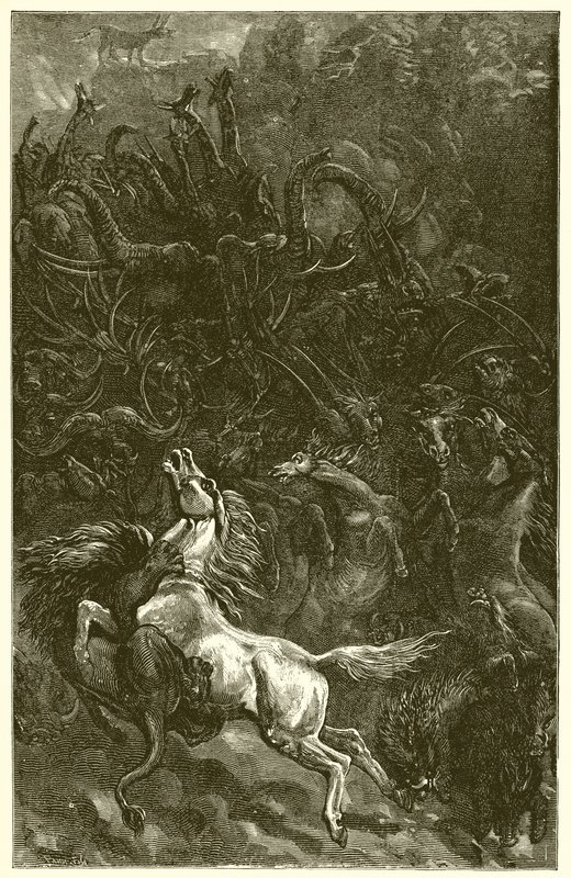Eşek ve Aslan Avı by Ernest Henry Griset